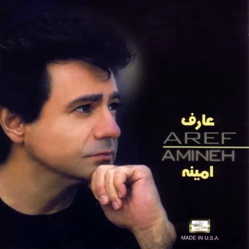 Amineh